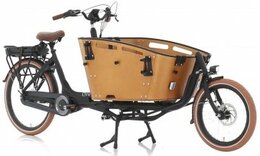 Bakfiets 2 wieler