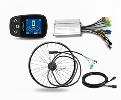 E Bike reparatie set Lyra G3 universeel (Voorwielmotor)