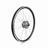 Motorwiel 24 Inch Sitgo 36V | Achterwiel Classic / Ultimate