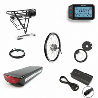 E-bike Ombouwset 36V | Lyra Display V2.0 met Bagagedrager - Achterwielmotor