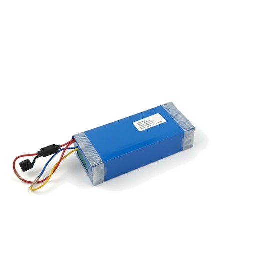 [100101] Batería 24V 240Wh (10Ah) Sitgo hasta 2018